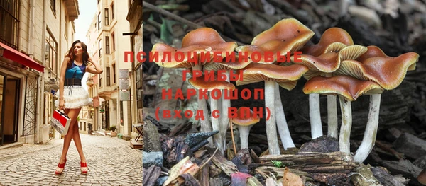 твердый Алексин