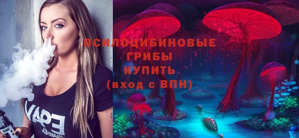 тгк Алексеевка