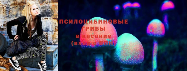 твердый Алексин